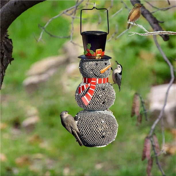 Mangeoire à oiseaux avec caméra d'extérieur, mangeoire à oiseaux  intelligente Birdfy pour l'observation des oiseaux, capture  d'images/vidéos/détection de mouvement, bleu (Birdfy Lite + Solar) 