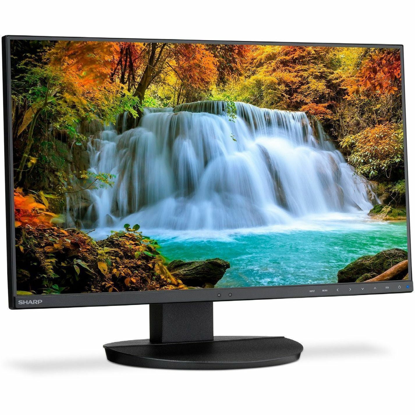 Sharp MultiSync DD-EA242W 24" Class WUXGA LED Monitor - 16:10 - Black - 24" Viewable - In-plane Switching (IPS) Technology - LED Backlight - 1920 x 1200 - 16.7 Million Colors - 300 Nit - 6 ms - 62 ...