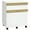 White, variant on Vinsetto 2 Drawers Filing Cabinet, File Cabinet with 5 Wheels, White