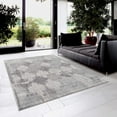 thumbnail image 2 of eRug Outlet Tapis Moderne Oriental Traditionnel Géométrique Gris, 2 of 6