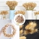 thumbnail image 3 of 30pcs-Cola hierba cola de perro grass-10pcs+20pcs Ormromra LL-2109, 3 of 6
