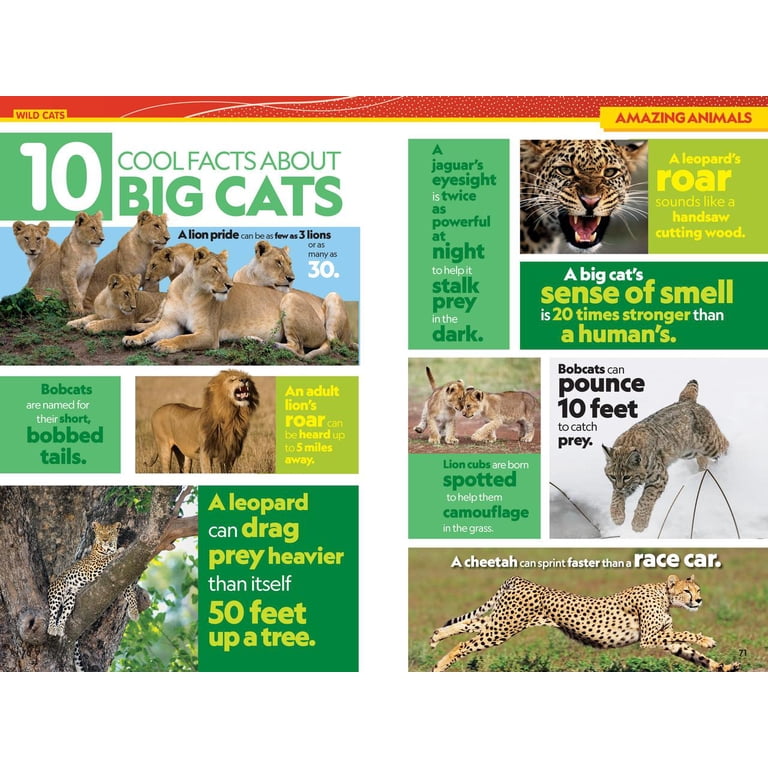 National Geographic Kids Almanac 2026 Paperback Bringing Facts