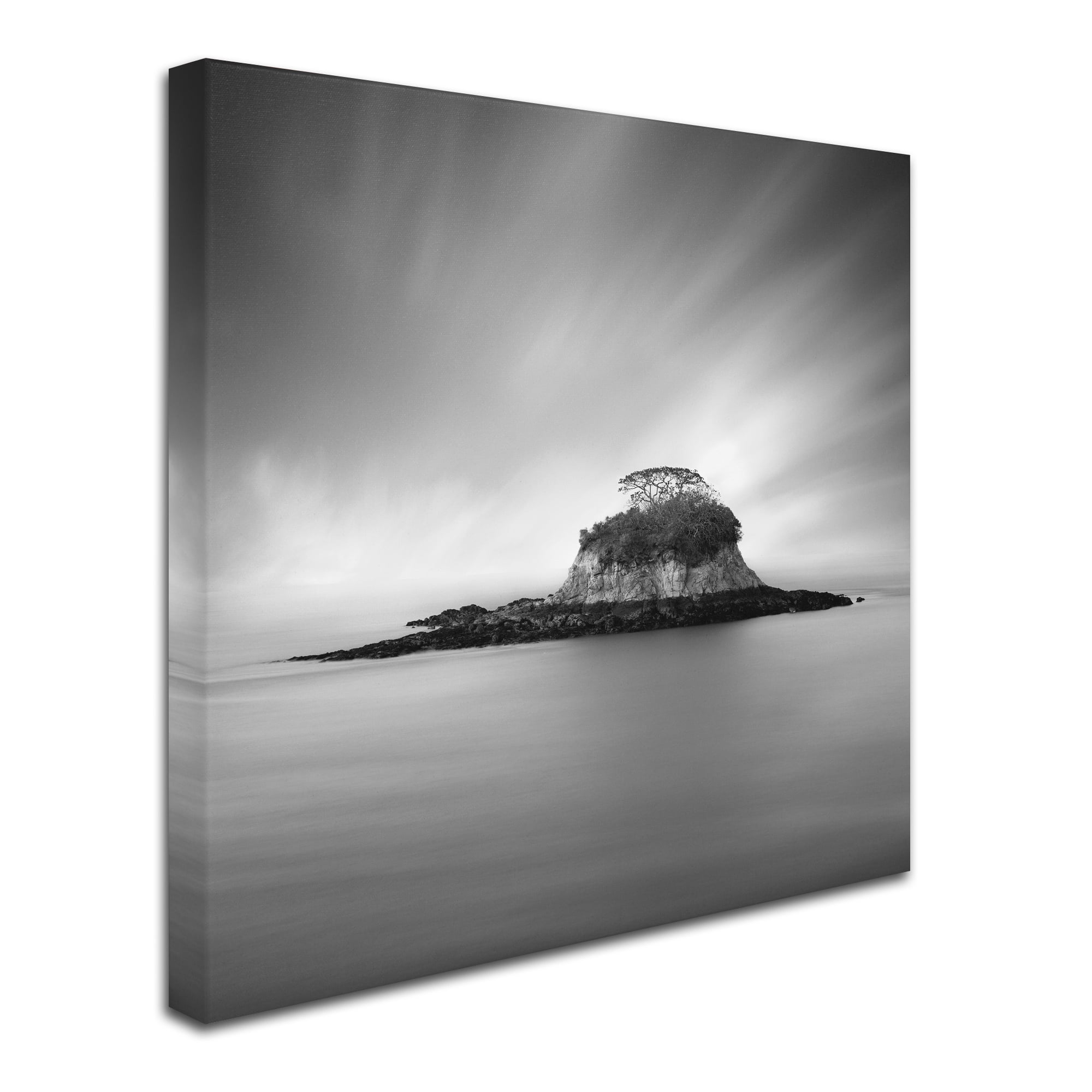Trademark Fine Art "Rat Island" Canvas Art by Moises Levy