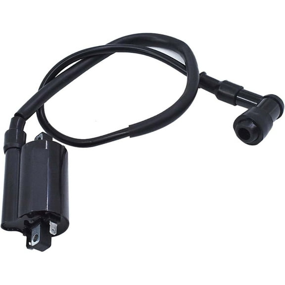 ALL-CARB AM120732 Ignition Coil Replacement for John Deere LX178 LX188 LX279 285 320 325 335 345 425 445 455