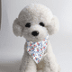 thumbnail image 5 of Pañuelos de verano para perros, bonitos pañuelos de algodón suave para cachorros y gatos, lavables a diario, accesorios ajustables para mascotas, 5 of 5