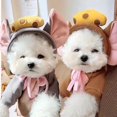 thumbnail image 3 of Ropa cálida para mascotas, suave, elástica, con orejas de ratón, queso, con capucha, ropa para perros de dos patas para cachorros y gatos, Otoño e Invierno, 3 of 5