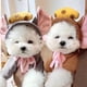 thumbnail image 3 of Ropa cálida para mascotas, suave, elástica, con orejas de ratón, queso, con capucha, ropa para perros de dos patas para cachorros y gatos, Otoño e Invierno, 3 of 5