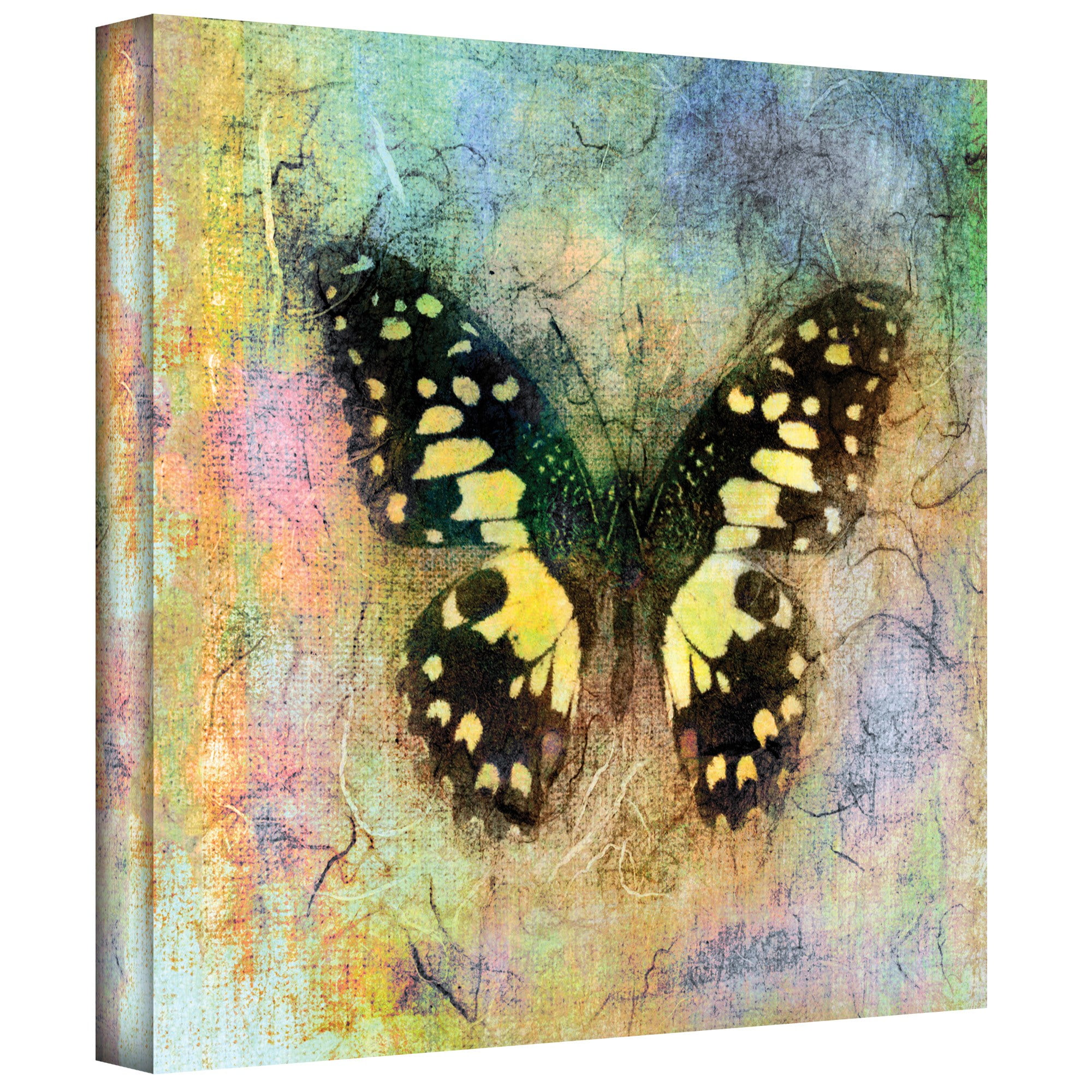 Elena Ray "Butterfly" Gallery-Wrapped Canvas
