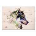 thumbnail image 1 of Day Dream HQ DCSE2014 20 x 14 Pouces Sentry Wall Art, 1 of 1