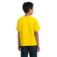 thumbnail image 2 of Fruit 100% Tee Youth Yellow, 2 of 5