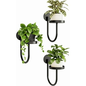 Retro-Style Indoor Plant Pole with 3 Adjustable Arms, Spring Tension Rod  for Floor to Ceiling - Walmart.com