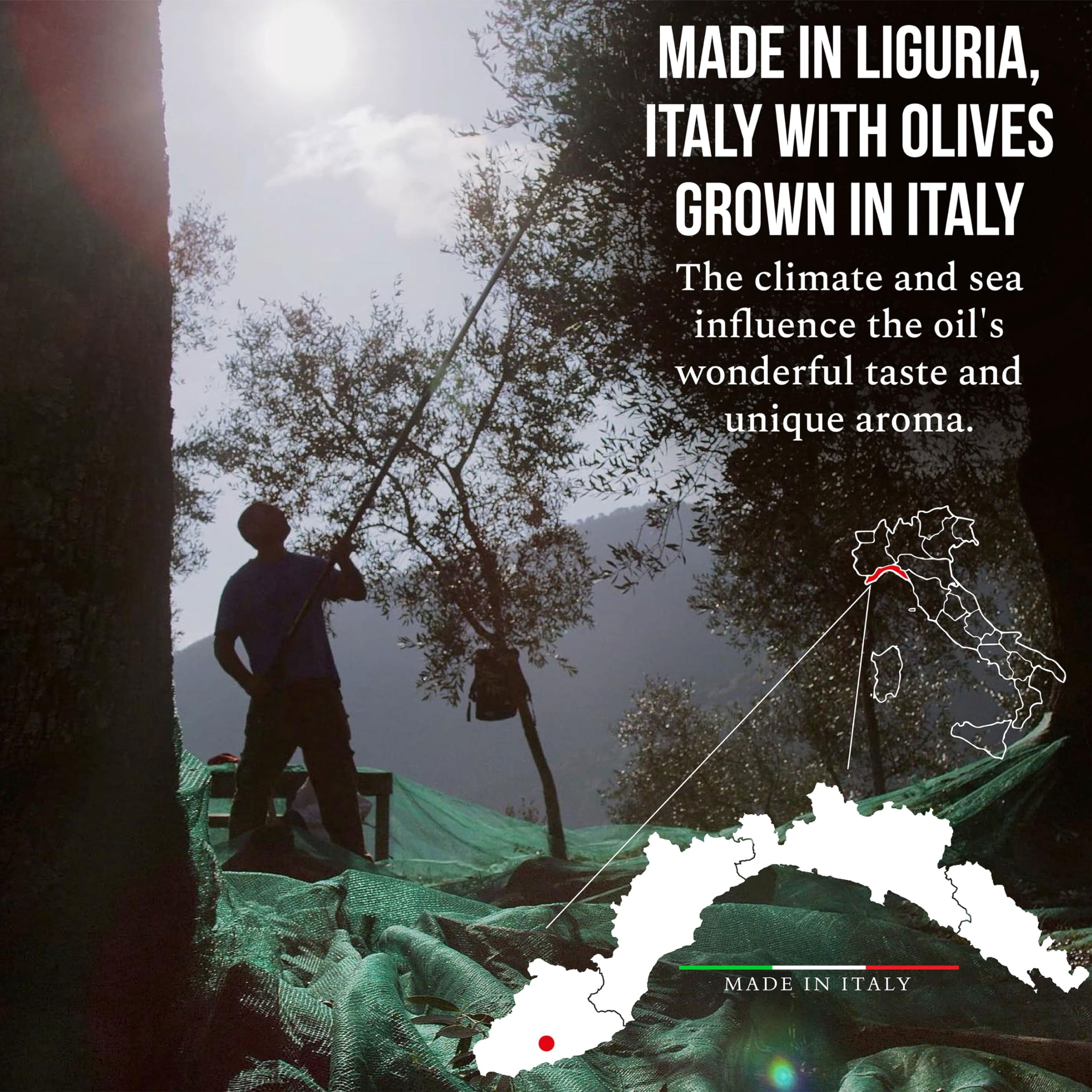 ROI Extra Virgin Olive Oil from Italy - Cucina Ligurian, First Cold Pressed, Pure, Polyphenol Rich Italian EVOO - 34 fl oz (1 Liter)