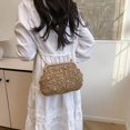 thumbnail image 3 of Crossbody Bag Summer Beach Bols Shoulder para Mujeres (marrón Claro), 3 of 8