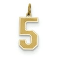 thumbnail image 1 of Charme en Satin Chiffre 5 Moyen Or Jaune 14K, 1 of 2