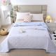 thumbnail image 2 of Sofa Vama Ropa de Cama Edredón de verano súper suave con nubes dulces y picantes, edredón de verano fresco, edredón acondicionado, edredón de verano fino en dormitorio de estudiantes for Navideño, 2 of 4