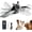 Bat, variant on Flying Bat Interactive Dog Toy, Rechargeable Flapping Pet Toy with Chirping Sound, 3 Play Modes, Removable Plush Cover for Dogs Cats Kittens (Weasel)