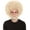 Blonde, variant on HPO Adult Unisex 80's Painter Light Green Halloween Wig and Light Green and Patches of Black Beard Set, Easy and Classic Celebrity Costume