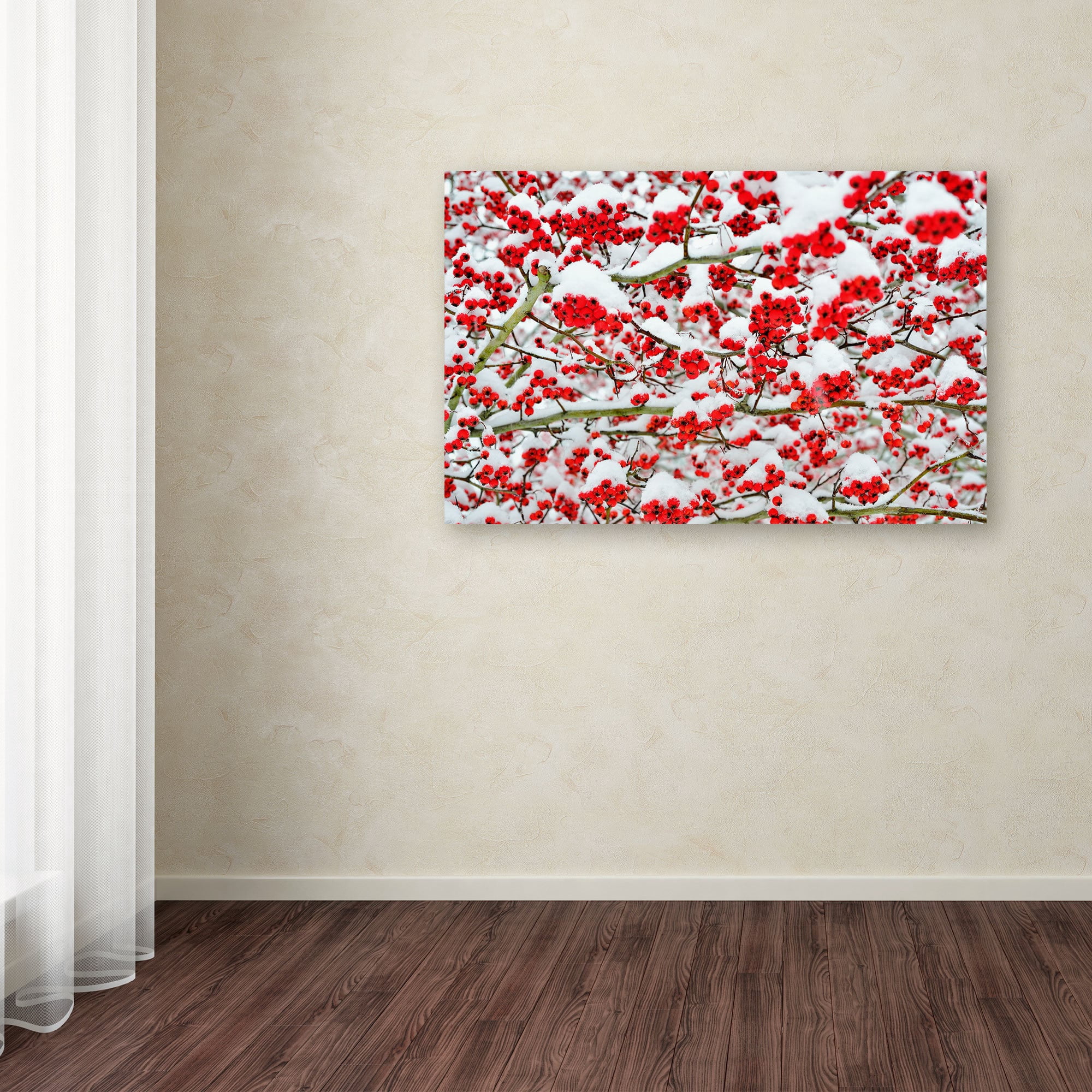 Trademark Fine Art "Winter Berries in the Snow" Canvas Art by Kurt Shaffer