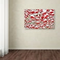 thumbnail image 4 of Trademark Fine Art "Winter Berries in the Snow" Canvas Art by Kurt Shaffer, 4 of 4