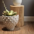 thumbnail image 5 of Jamie Young Co Agave Cylinder Traditional Paulownia Wood Side Table in Natural, 5 of 5