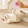 thumbnail image 3 of Cat Chew with Head Design Soft Pet Playing Props for Boredom and Destructive Behavior Control, 3 of 4