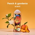 thumbnail image 3 of Softsoap Bali Bliss Moisturizing Body Wash, pH Balanced, Peach and Gardenia Scent, 20 fl oz, 3 of 14