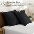 thumbnail image 3 of Bare Home Pillow Sham Set - Premium 1800 Collection - Double Brushed - Euro, Black, 3 of 7