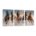 thumbnail image 1 of Cuadro Decorativo Tríptico Vertical Manada De Caballos Canvas Revolution Set De 3 Cuadros 25x38 cm, 1 of 5