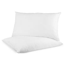 Digital Decor Set of 2 100% Cotton Hotel Pillows (Queen, Platinum/Firm, All Ages)