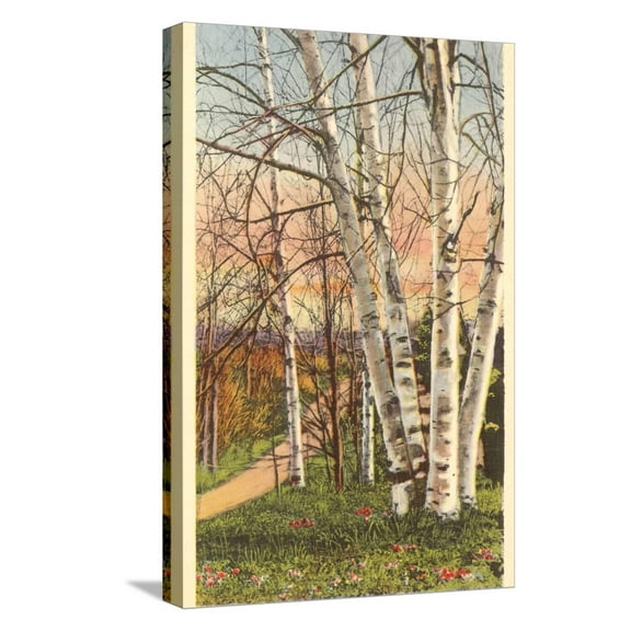 Art.com White Birches of Northern Michigan Stretched Canvas Print Wall Art, 12" x 18"