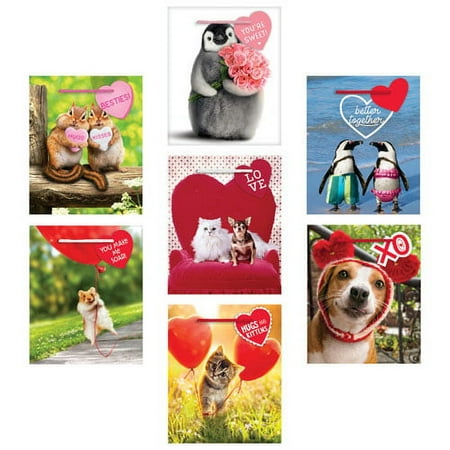 Valentine's Day Multi-Pack Gift Bags (7ct)