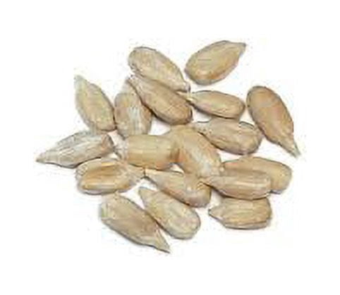 Sunflower Seeds 10 lbs (Ten Pounds) Raw Unsalted USDA Certified Organic, Bulk by Mulberry Lane Farms