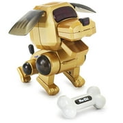 Poo-Chi: Gold With Black Ears