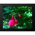 thumbnail image 2 of Grayscale 18x15 Black Modern Framed Museum Art Print Titled - Red Bulbs I, 2 of 5