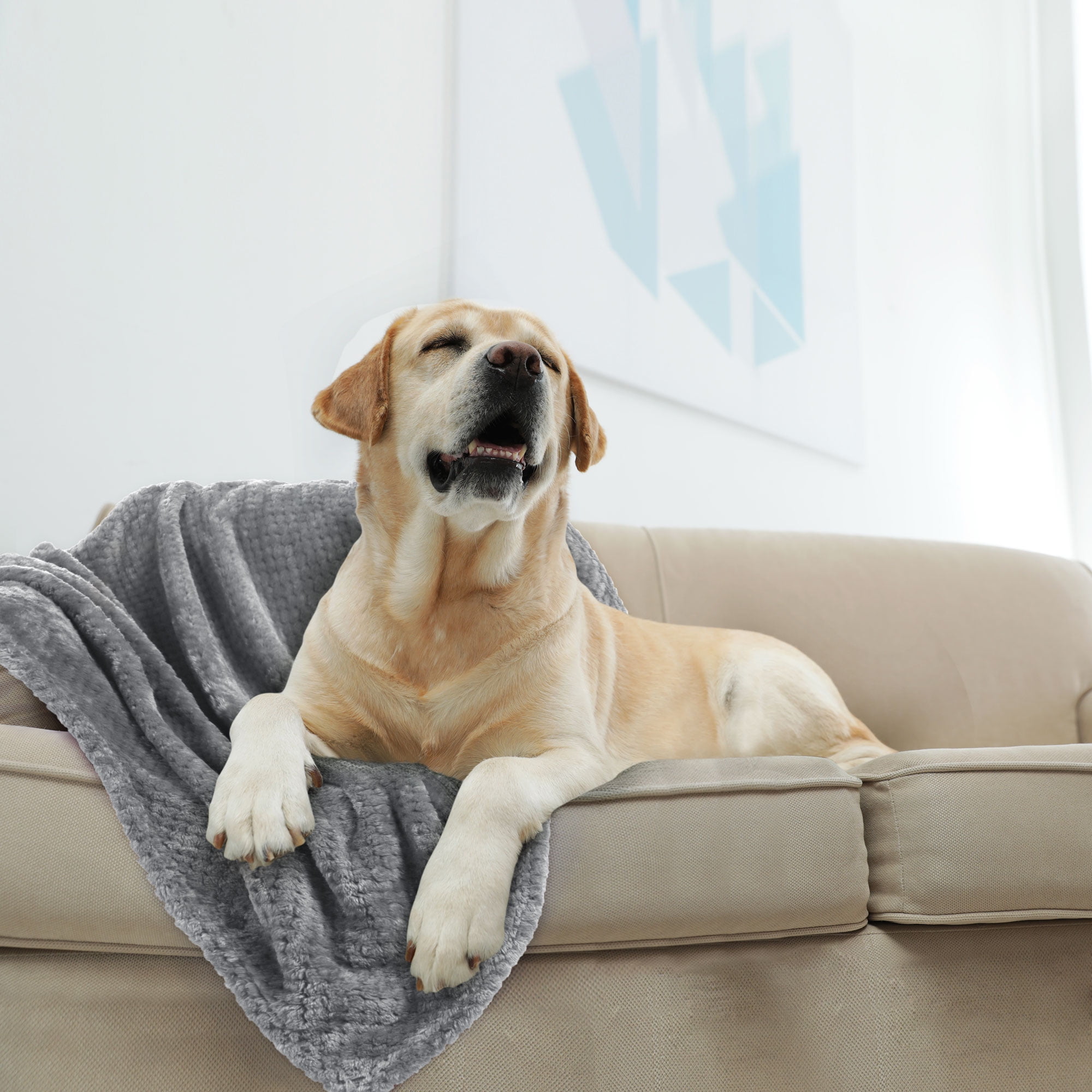 Unique Bargains Soft Flannel Fleece Velvet Blanket Gray 30" x 40"