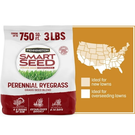 Pennington Smart Seed Perennial Ryegrass Grass Seed, for Full Sun, 3 lb.