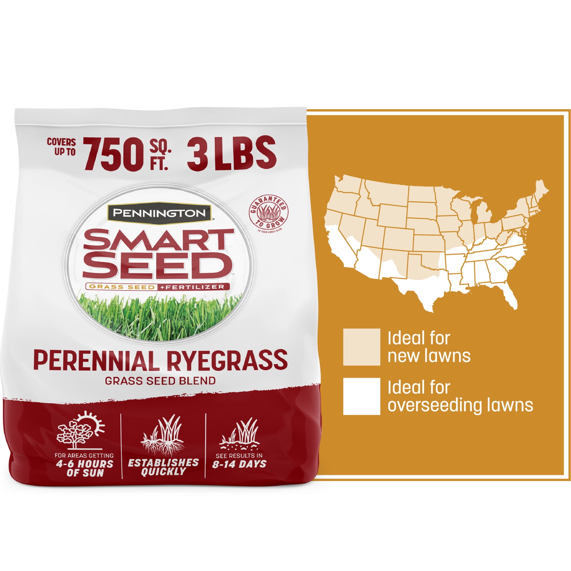 Pennington Smart Seed Perennial Ryegrass Grass Seeds for Lawns, Full Sun, 3 lb