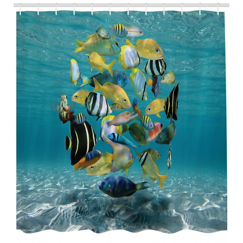 Fish Shower Curtain, Shoal of Fish Forming a Circle above a Sandy