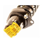 Suspension Strut and Coil Spring Assembly Fits select: 2009-2010 TOYOTA COROLLA BASE/S/LE/XLE