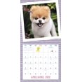 thumbnail image 3 of Mead 2022 Boo Wall Calendar, 12 x 12 Inches, Bilingual, 16-Months (DDF0622822), Multi, 3 of 5