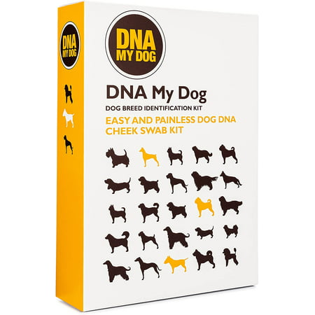 My Dog Genetic Testing Kit u2013 Mixed Breed Identification Personality Traits u2013 for Puppies to Adult Dogs Non-Invasive Cheek Swab