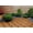 X08, variant on 10 Pack 12"×12" Interlocking Acacia Wood Deck Tiles with Artificial Grass, Snap Together Patio Flooring Tile for Outdoor Garden Balcony Backyard Decor
