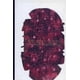 thumbnail image 1 of Brian Nissen Blanco, 1 of 2