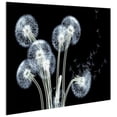 thumbnail image 3 of Empire Art "Dancing Dandelions" Wall Art Printed on Tempered Glass, 3 of 9