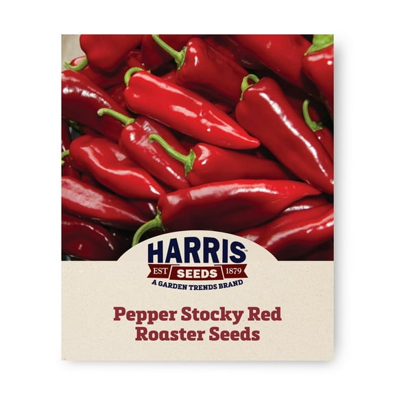 Pepper Stocky Red Roaster Organic Seed