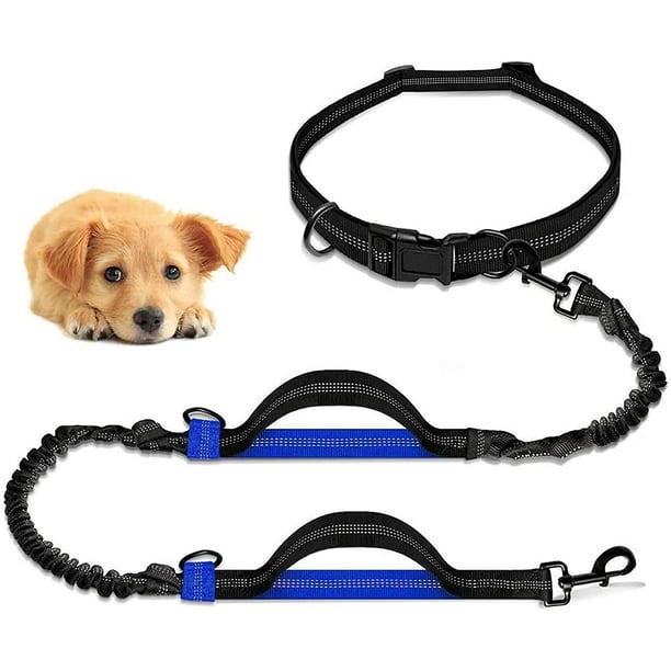 Hand Free Dog Leash with Adjustable Waist Belt for Jogging Practice Shock Absorption Professional Harness with Reflective Stitching