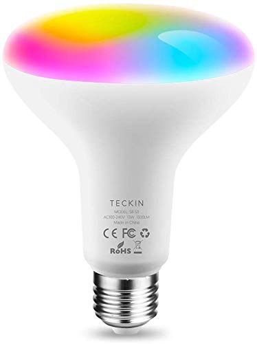 google home walmart canada