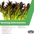thumbnail image 2 of Harris Seeds - Lettuce Rhone Seeds - Tango Style MTO Organic Red Leaf - 10K Seeds, 2 of 7