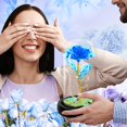 thumbnail image 4 of Flor Gift Childom Rainbow Rose en cúpula de cristal para mujer, 4 of 7