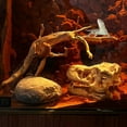thumbnail image 2 of 2PCS Reptile Wood Branches Decor Lizard Habitat Decoration Snake Climbing Branch Accessories Terrarium Tree Trunk Ornament for Bearded Dragon Gecko Frog Chameleon Spider, 2 of 6